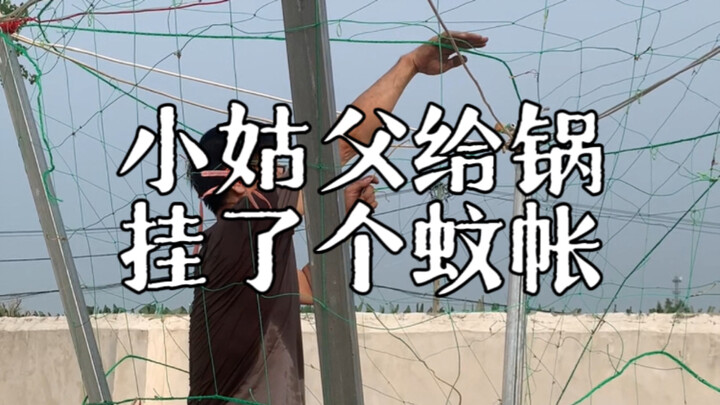 พี่เขยจัดการแขวนมุ้งให้กับหม้อ