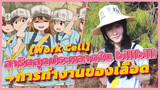 [Work Cell] สาธิตสุดประหลาดในbilibili→การทำงานของเลือด