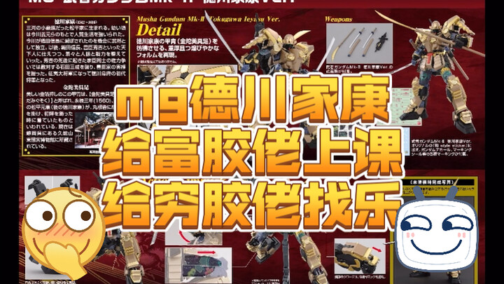 胶的故事（一）mg德川家康！