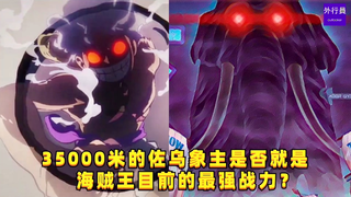 35000米的佐乌象主是否就是海贼王目前的最强战力？#1251