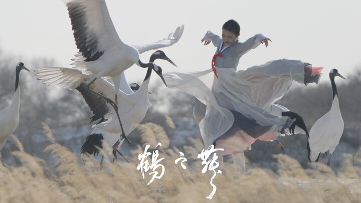 Learn this dance and you can woo a crane.