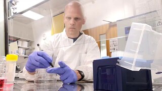Cell culture time lapse