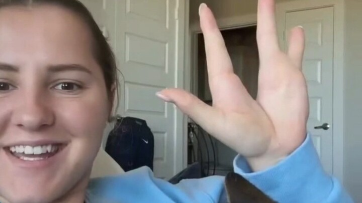 Not very practical, but extremely insulting! [Collection of Over-the-Top, Unbendable Challenges from