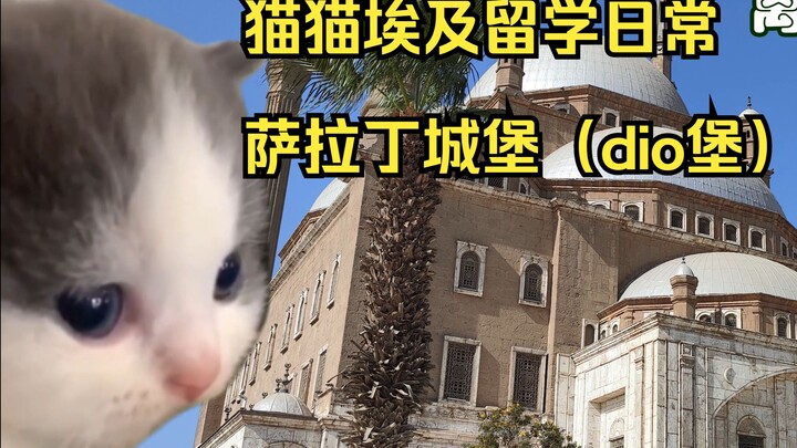 (Meme kucing) Kehidupan sehari-hari sebagai mahasiswa di Mesir [4: Benteng Saladin (Benteng Dio)]