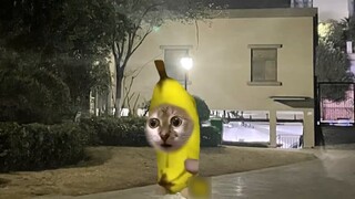 Children are made for fun