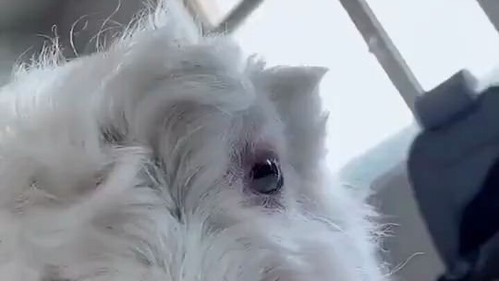 Aku yang panik sampai tak bisa berkata-kata saat bertengkar dengan orang lain