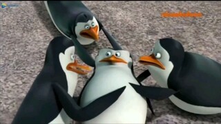 The Penguins of Madagascar - S1 EPS 5 - The Falcon and the Snow Job Dub Indo