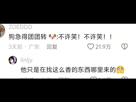 Jangan sembarangan mencoba melakukan senam pengeluaran gas pada anjing…