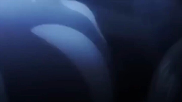 Hero academia