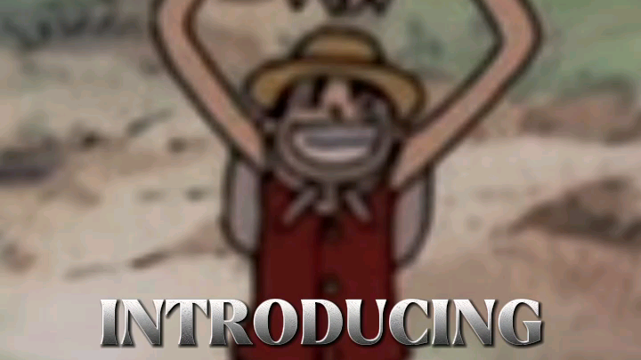 introducing! straw hats crew