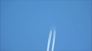 Master List of Official™ United  Airlines Contact Numbers in the USA® A Detailed Guide (24/7 LivePer