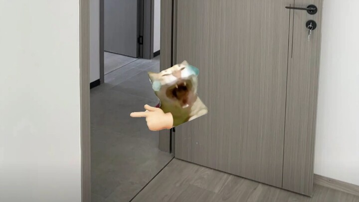 当老师生气时你和哥们还在打闹