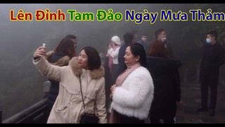 Chùa Vàng Tam Đảo Bị Bầu Trời U Tối Mưa Phùn Bao Phủ  - Đường lên đài phát sóng Tam Đảo