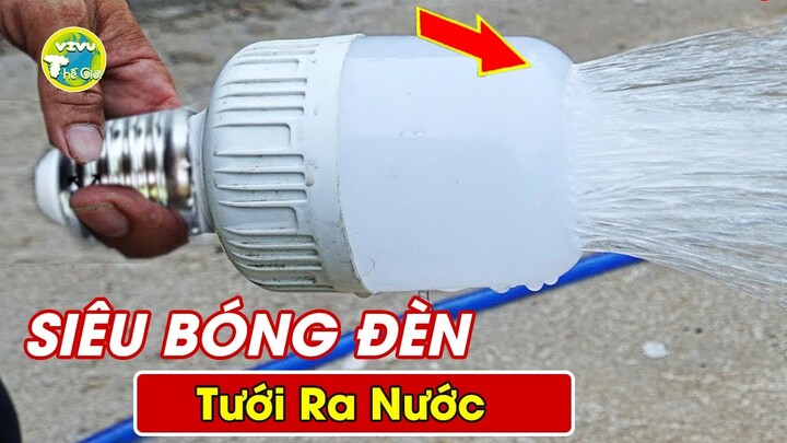 Giải Mã 7 Bí Ẩn Huyền Bí Động Trời Về BÓNG ĐÈN Khiến Cả Thế Giới Thán Phục | Vivu Thế Giới