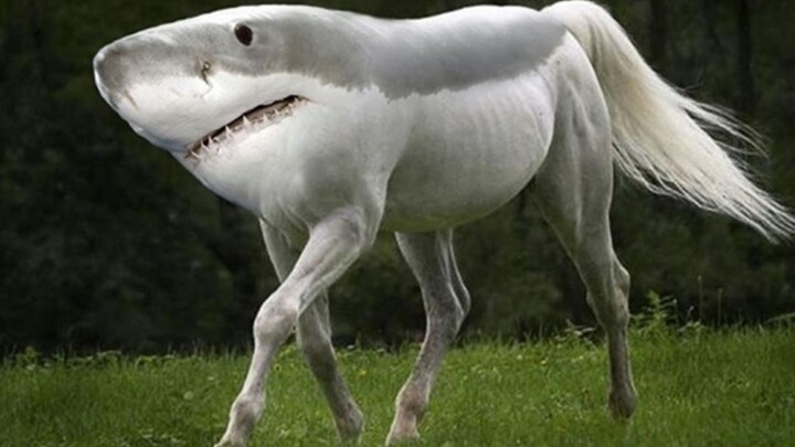 Top 5 binatang unik!!!😱😱