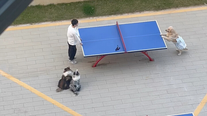 Pasangan saling bersujud