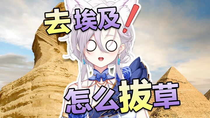我们一起去埃及拔草吧！！！？？？？