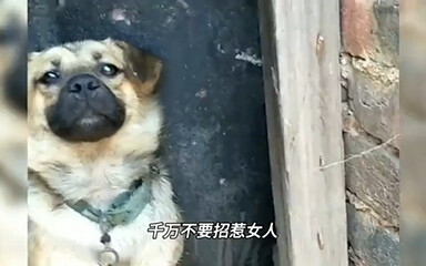 “Why did you have to pick a fight with her?”