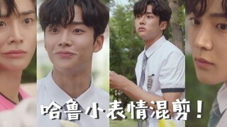 【偶然发现的一天】哈鲁小表情混剪 | 你见过这么可爱的男主吗？| 金路云