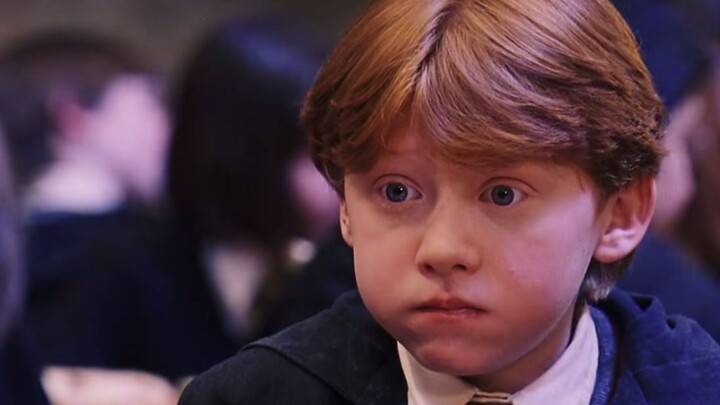 [Harry Potter/HP/Pengintaian/Potongan Campuran] Sang Burung Phoenix