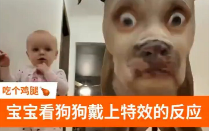 หมาก็ยังสะดุ้งเลย!