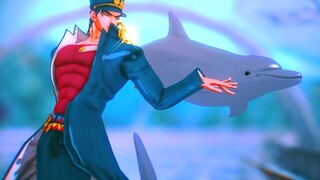 Dolphin Party with Doctor of Oceanography