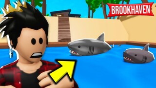 NEW UPDATE IN BROOKHAVEN RP!