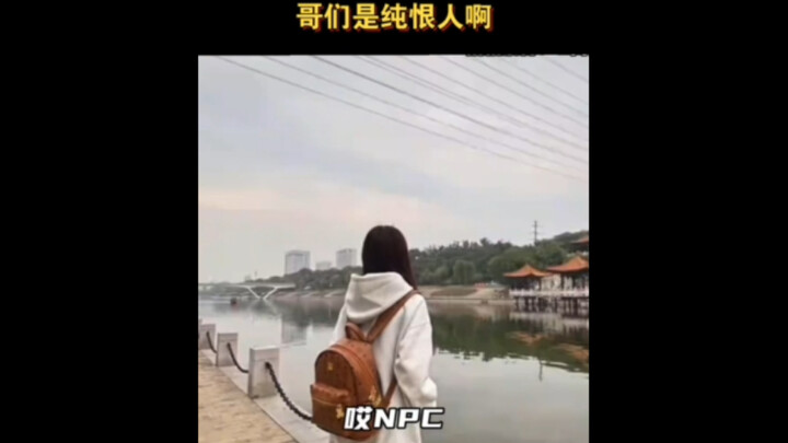 哥们是纯恨人啊