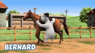 BERNARD BEAR || DRESSAGE - CARTOON CHILDREN