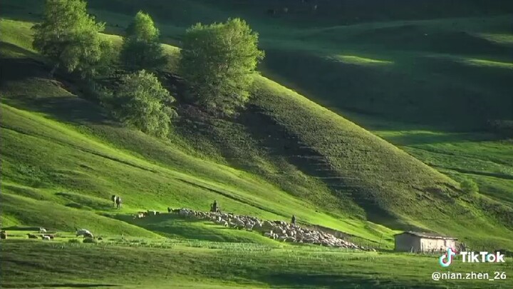 yên bình ❤️‍🩹