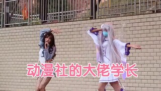 动漫社的大佬学长|･ω･｀)