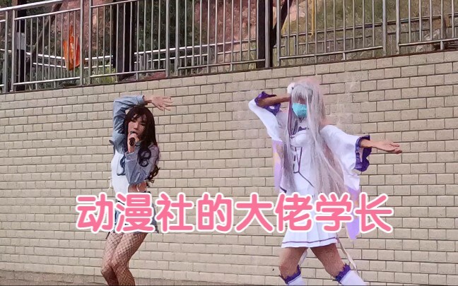 动漫社的大佬学长|･ω･｀)