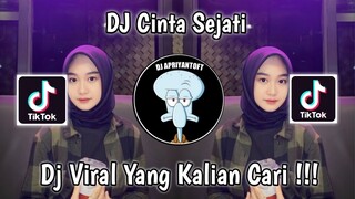 DJ CINTA SEJATI BUNGA CITRA LESTARI NABIH IKOO WG VIRAL TIK TOK TERBARU 2023 YANG KALIAN CARI !