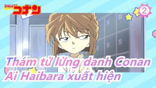 [Thám tử lừng danh Conan/HD] Ai Haibara xuất hiện (TV843-865)/Phần 17_2