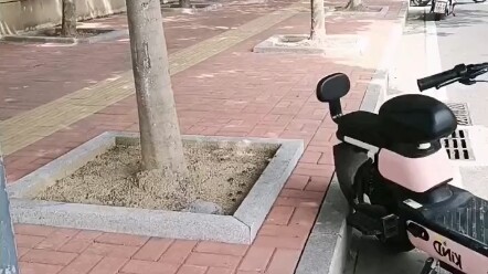 أصبحت انطوائيًا على الفور...