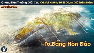 [Review Phim] Chàng Dân Thường Giải Cứu Cá Voi Khổng Lồ Bị Giam Giữ Hàng Trăm Năm