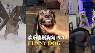 欢乐喜剧狗勾 Pt.12