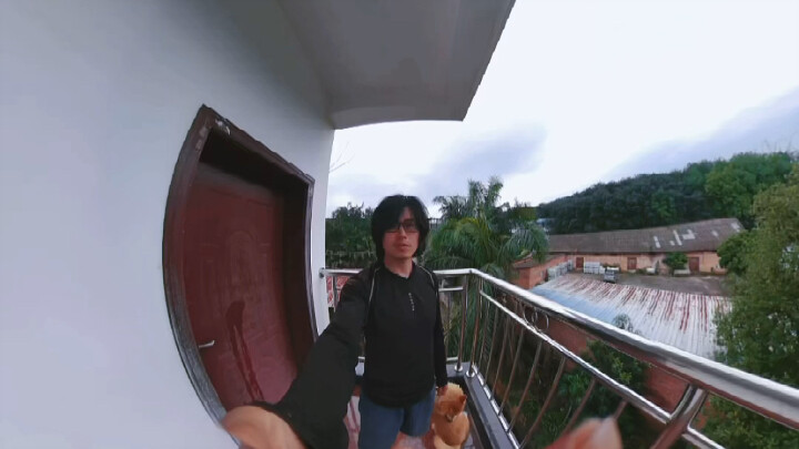 This perspective is scary for both people and dogs #VloggingWithInsta360