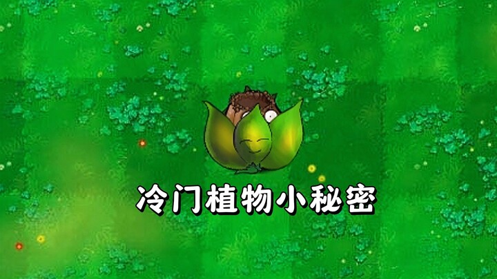 เวอร์ชั่นลูกผสมของพืชที่ไม่เป็นที่นิยม ความลับที่คุณอาจไม่รู้!