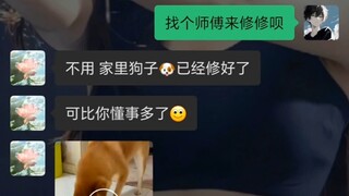 “狗都比我懂事多了”