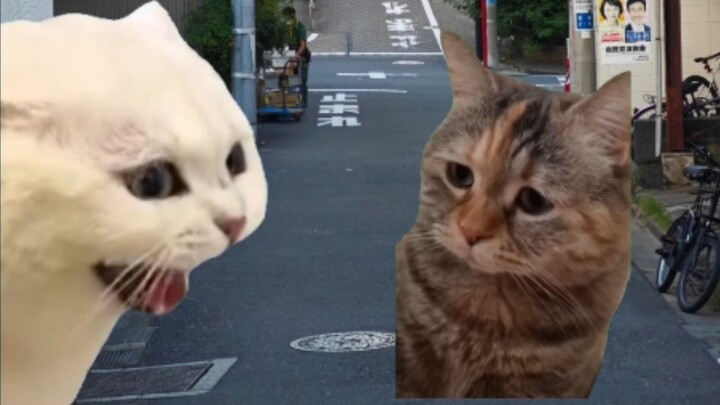 [Seluruh pekerjaan] Buku Ilustrasi Kejahatan Berburu 2 Dan Meme Kucing