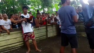 2 times winner in 1 day                      1st fight