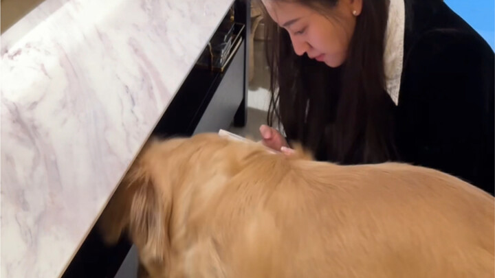 Vờ như đang giúp nó nhặt bóng, nhưng thực ra đã lướt điện thoại được vài phút rồi.