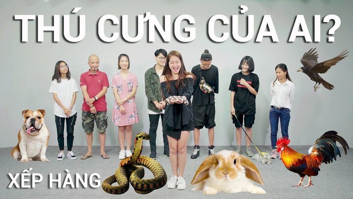 Thú cưng của ai? | Xếp hàng #10