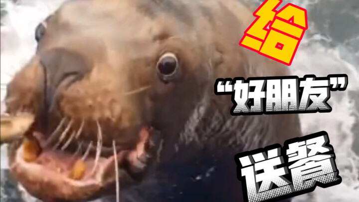 Delivering Meals to a “Good Friend”