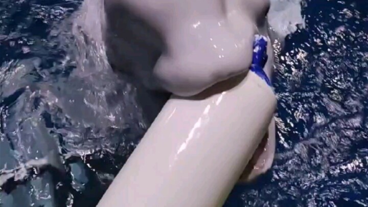 جمع الألعاب أثناء "النوم"! هاهاها