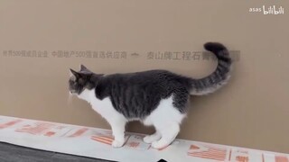 测试哈，测试测试哈