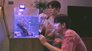 "10 วินาทีที่ชัดที่สุด 4 วินาทีใช้ดูปลา 6 วินาทีที่เหลือใช้ดูคุณ" ละครเรื่องนี้ดีจนปู่เป็นเทพอมตะ! !