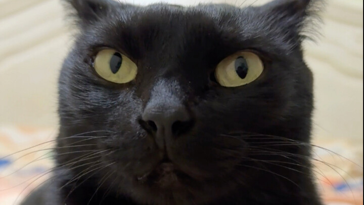 Mồm giữ kín lắm, hỏi thế mà vẫn không khai được ra.