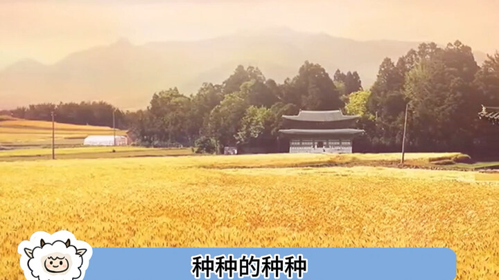 Sao người ta có thể xấu xa đến thế này được chứ #Ngộ Không #Mèo Con #Triệu Thúc